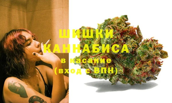 бошки Аркадак