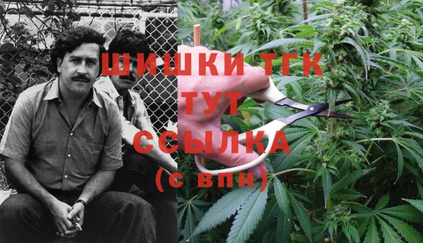 бошки Аркадак
