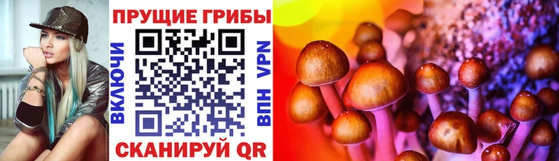 Галлюциногенные грибы GOLDEN TEACHER  Ноябрьск 